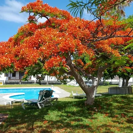 Apartamento Cerca De La Playa